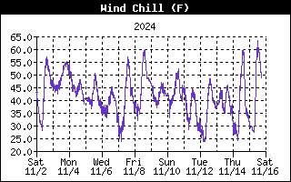 Wind Chill History